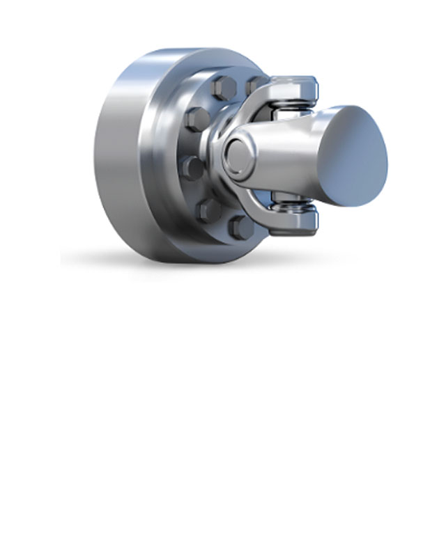 Gelenkwellenanschlussflansche: GF